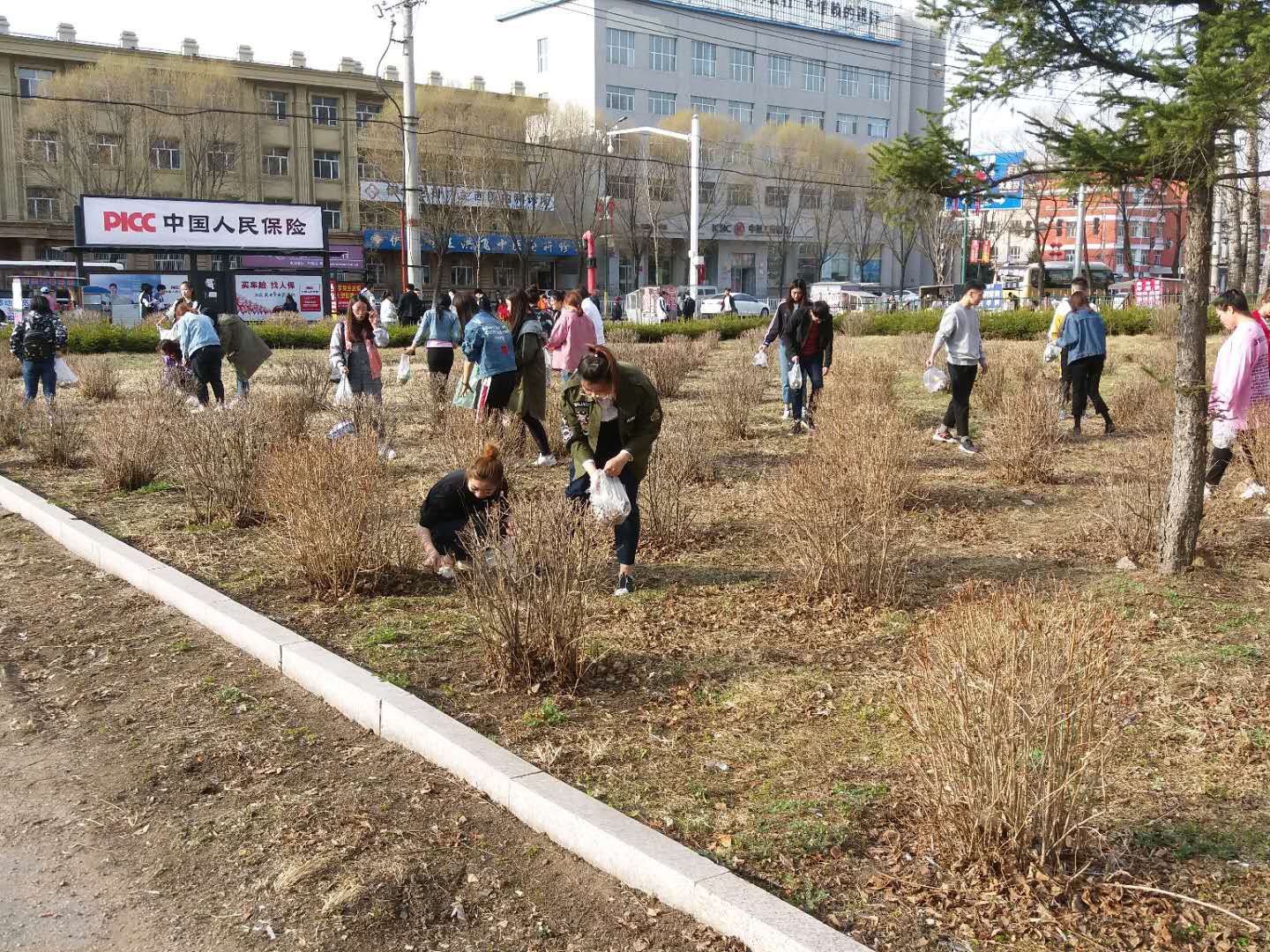 我院組織學(xué)生黨員、入黨積極分子開(kāi)展義務(wù)勞動(dòng)