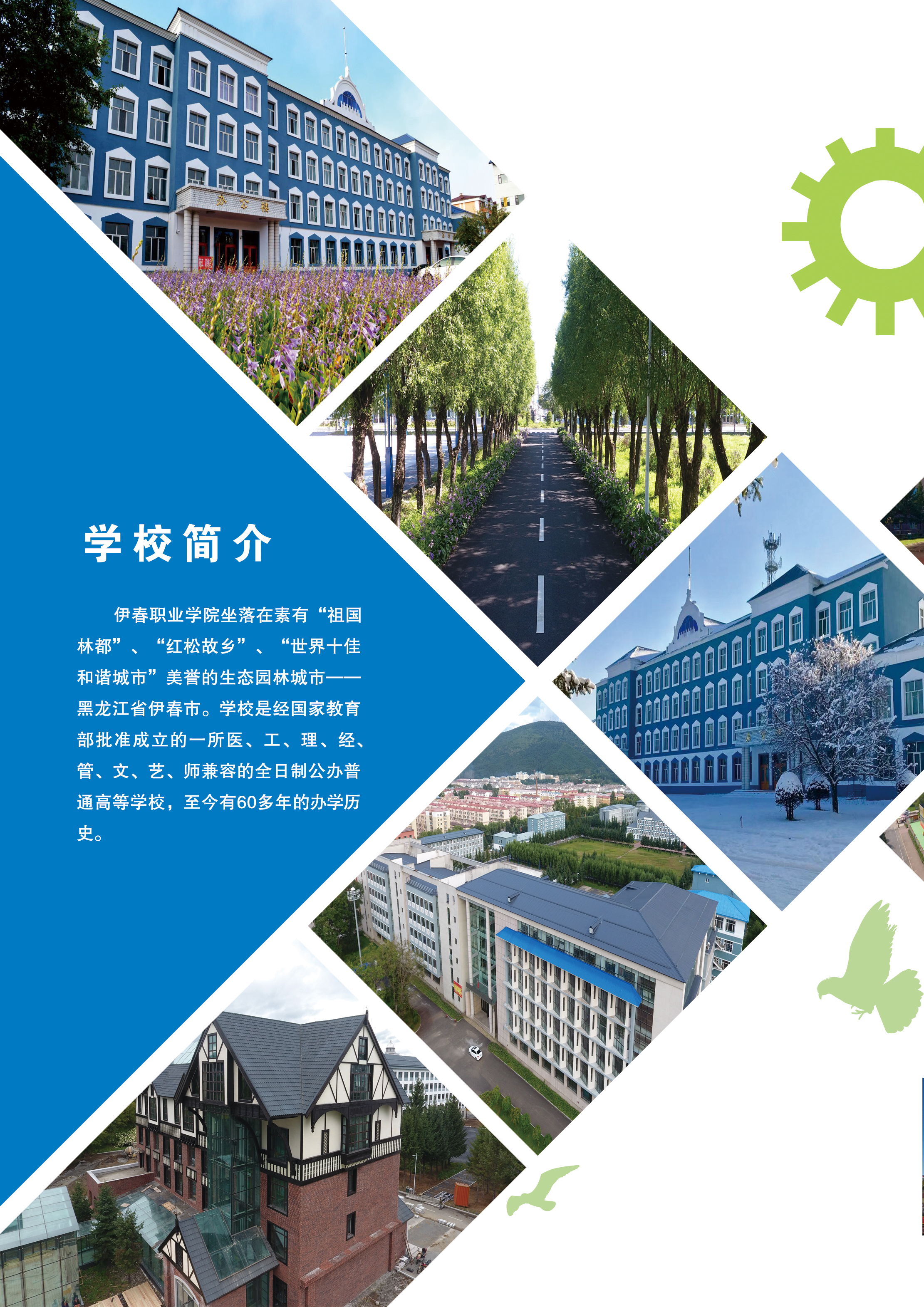 伊春職業(yè)學院2020年招生簡章